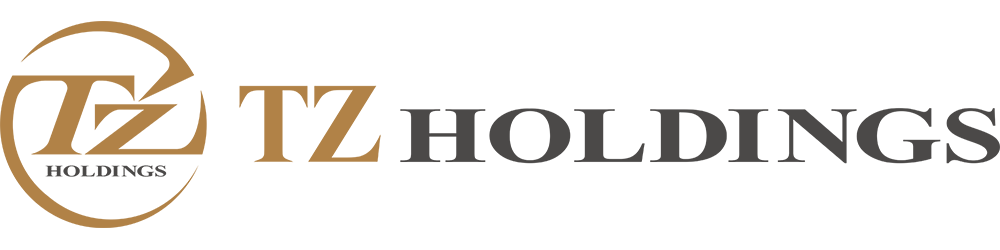 ティーズホールディングス